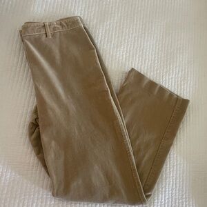 Ann Taylor Velvet Pants Size 10